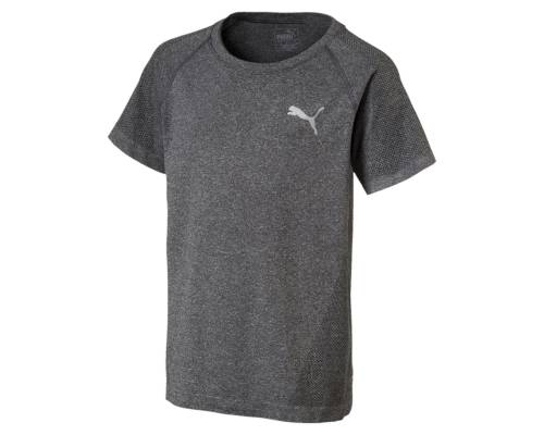 T-shirt Puma Evoknit Gris